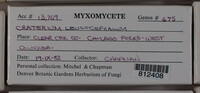 Image Associated With the Occurence